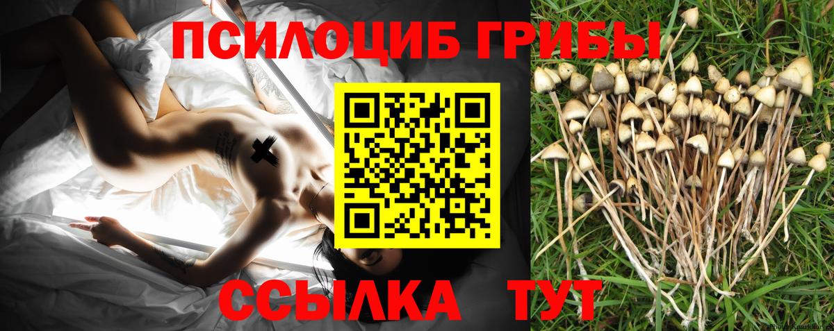 Дедовск  Галлюциногенные грибы прущие грибы  Вход с VPN 